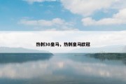 热刺30皇马，热刺皇马欧冠