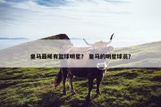 皇马最稀有篮球明星？ 皇马的明星球员？