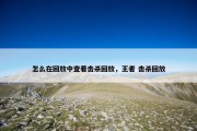 怎么在回放中查看击杀回放，王者 击杀回放