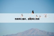 热刺拜仁图片，欧冠拜仁热刺