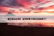 哪个球队欧洲杯（欧洲杯哪个球队已经出局了）