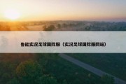 鲁能实况足球国际服（实况足球国际服网站）