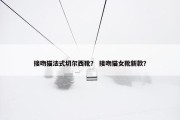 接吻猫法式切尔西靴？ 接吻猫女靴新款？