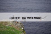 2022卡塔尔？ 2022卡塔尔世界杯回放？