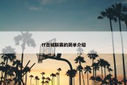 ff百城联赛的简单介绍