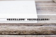 中国足球怎么进球呢？ 中国足球队怎么进世界杯？