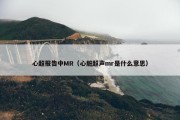 心超报告中MR（心脏超声mr是什么意思）