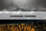 意大利足球队凯恩，意大利足球猛将