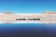 weijie球员，vvandijk球员