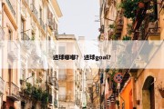 进球嘟嘟？ 进球goal？