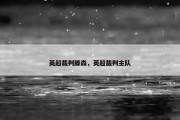 英超裁判滕森，英超裁判主队