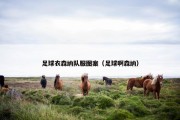 足球衣森纳队服图案（足球啊森纳）