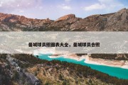 曼城球员照图表大全，曼城球员合照