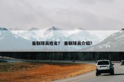 曼联球员姓名？ 曼联球员介绍？
