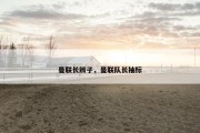 曼联长辫子，曼联队长袖标