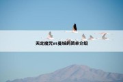 天定魔咒vs曼城的简单介绍