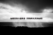 秘闻天狗十层阵容（阴阳师大天狗秘闻）