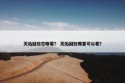 天佑回放在哪看？ 天佑回放哪里可以看？