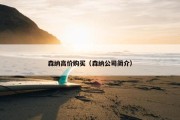 森纳高价购买（森纳公司简介）