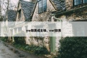 ow联赛成主场，owl联赛