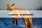 14法国里贝里？ 里贝里是法国球星吗？