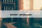 怒斥足球队？ 侮辱足球怎么反驳？