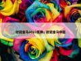 欧冠皇马2023奖牌，欧冠皇马夺冠