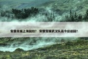 安徽支援上海回放？ 安徽支援武汉队员今日返回？