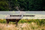 赛马娘特定阵容？ 赛马娘角色搭配？
