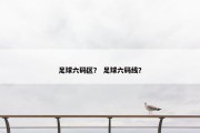 足球六码区？ 足球六码线？