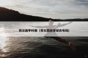 劳尔西甲时期（劳尔西班牙球衣号码）