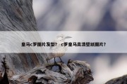 皇马c罗图片发型？ c罗皇马高清壁纸图片？