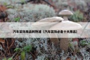 汽车装饰用品利物浦（汽车装饰必备十大用品）