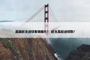 英国欧文进球集锦图片？ 欧文英超进球数？