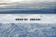 尼斯球员飞机？ 尼斯队主场？