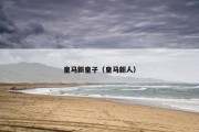 皇马新皇子（皇马新人）
