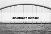 森纳o2球员版球衣（足球啊森纳）