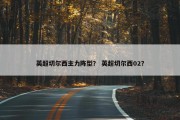英超切尔西主力阵型？ 英超切尔西02？