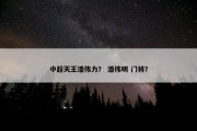 中超天王潘伟力？ 潘伟明 门将？