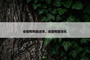 宋黎辉韩国进球，宋黎辉国家队