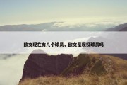欧文现在有几个球员，欧文是现役球员吗