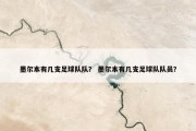 墨尔本有几支足球队队？ 墨尔本有几支足球队队员？