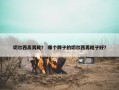 切尔西高男靴？ 哪个牌子的切尔西男靴子好？