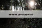 俄甲联赛氛围（俄甲联赛积分榜2020）