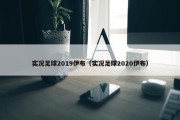 实况足球2019伊布（实况足球2020伊布）