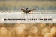 什么阵容可以转四龙阵容（什么阵容可以转四龙阵容啊）