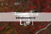 安安教播回放的简单介绍