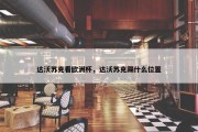 达沃苏克看欧洲杯，达沃苏克踢什么位置