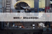 猎鹰拜仁？ 猎鹰适合球员类型？
