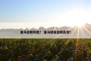 皇马合照灰色？ 皇马球员合照高清？